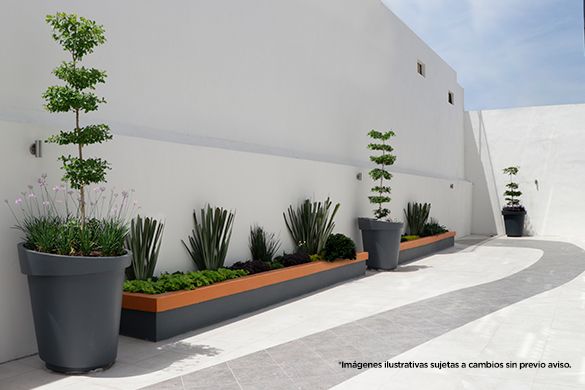 Junta Condominal 15 de Agosto